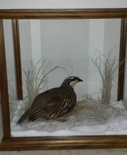 Lanaud Petot Virginie image 13