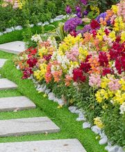 Distinctive Lawn & Landscape image 11