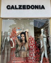 Calzedonia immagine 1