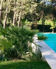 Pool&Paddle imagen 9