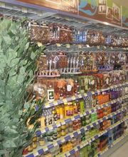 Centrakor Cazères image 12