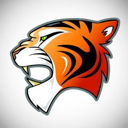 Taekwondo Tigers Berlin