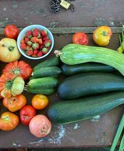 losesquimos-agriculturaecologica.jpg