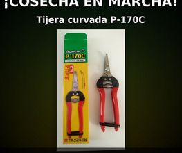 171036544-2-zoU5jj7e6M1768403746148.jpeg