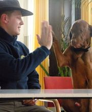 Hundeschule HundZunft Bild 2