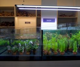Aquarilis Paris image 11