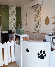 Les Animaux Chics image 1