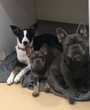 Riverbank Animal Hospital image 3