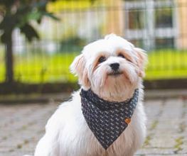 Willi Meyer GmbH Bild 5