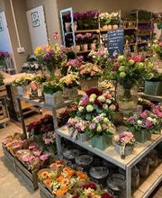 BLUME2000 Böblingen Bild 2