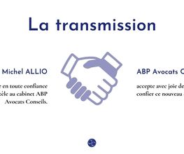 Allio Michel image 5