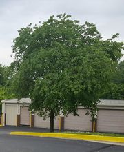 Seabrook Self Storage image 3