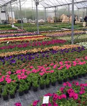 Les Vergers De Rioz image 5