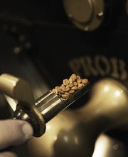 Kaffeerösterei Widmann Bild 4
