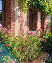 Super Clean image 17