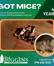 Biggins Exterminating image 19