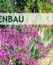 Marcel Müller Gartenbau Bild 2