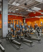 Basic-Fit Ladies image 5