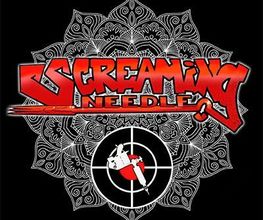 Screaming Needle Studio privé image 1