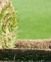 Normandie Gazon image 5