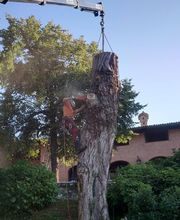 Galli Manuel Bild 13