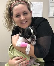 The Pet Wellness Group: Florence image 2