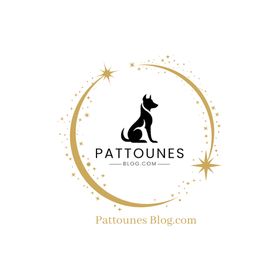 pattounesblog.com