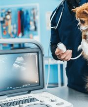 Kleintierpraxis von Werthern GmbH Bild 1