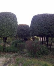 Les Jardins d'Orléna image 11