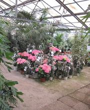 Serres Du Mas Reboul image 4