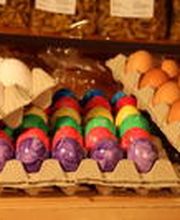 Geflügelhof-Eierproduktion Dätwyler Hans-Jakob Bild 2