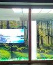 Bestattungen Familie Kraft Bild 3