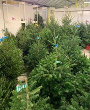 Bricomarché Roye image 4