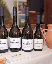 Carpinus Weinlinie - Furmint, Hárslevelű - Lindenblättriger - Grand Reserve Furmint, Late Harvest Furmint