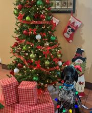 Parrett Veterinary Clinic image 7