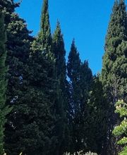 Le Clos des Cyprès-Maison d hôtes de charme et table Gourmande-Saint Rémy de image 14