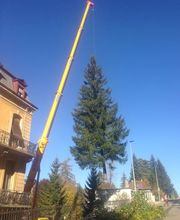 Entreprise forestière Sauser SA Bild 6