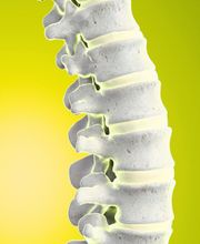 SF Physio Bild 1