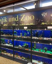 HORNBACH Gartencenter Magdeburg Bild 2