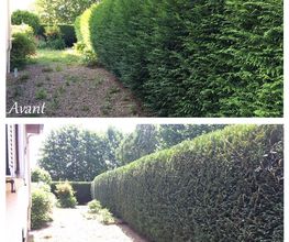 Heldebaume Elagage image 15