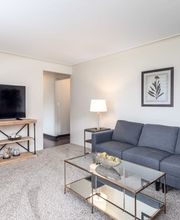 Rugby Square Apartments image 13