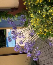 Fischer Philippe Bild 1