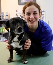 Tierklinik Leimental Bild 7