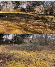 Entretien Jardin 47 image 14