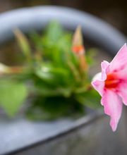 Hôtel Restaurant le Sully image 4