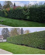 A'rborescence & Paysage Sàrl Bild 4