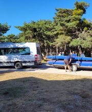 Autocars VPM image 8