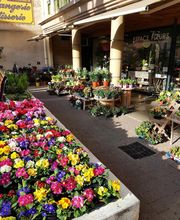 Espace Fleurs image 16