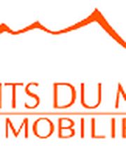 Dents du Midi Immobilier Sàrl Bild 2