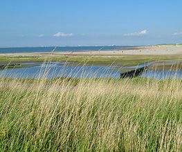 Camping De Hoogte